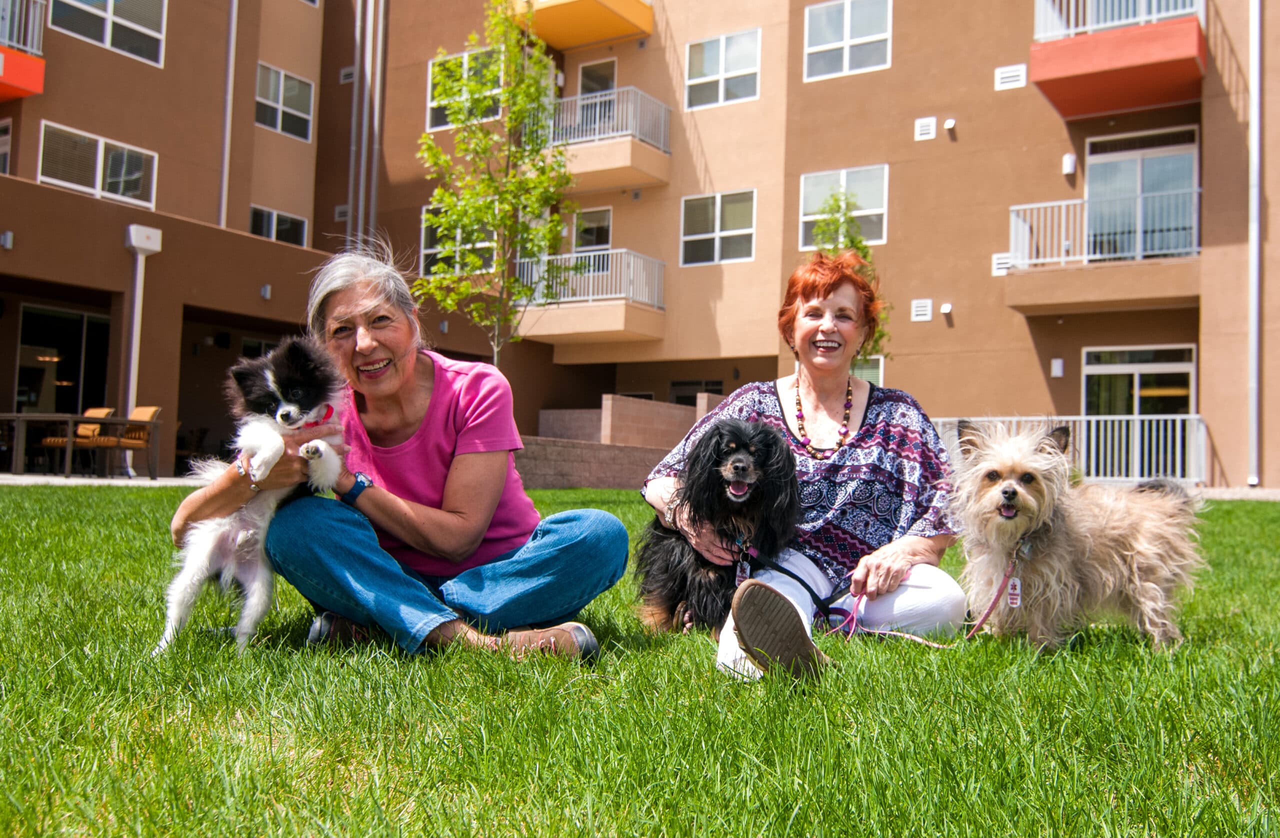 Two senior women seated on a grassy lawn in front of an apartment building, each holding a small dog, with one dog sitting beside them.